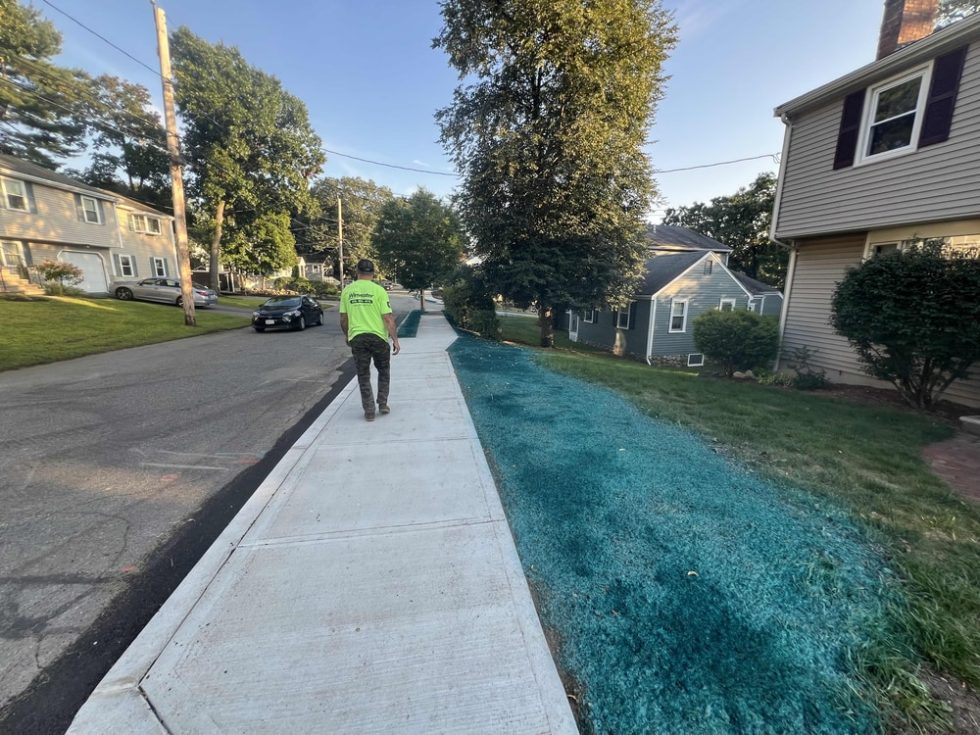 001 MT Mayo Project DPW Reading MA